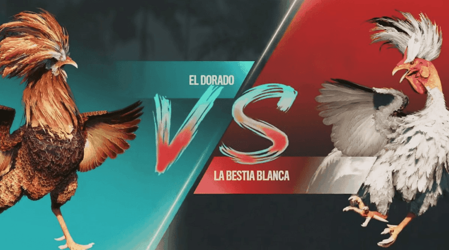89p Games Exclusivos e E-Sports Online